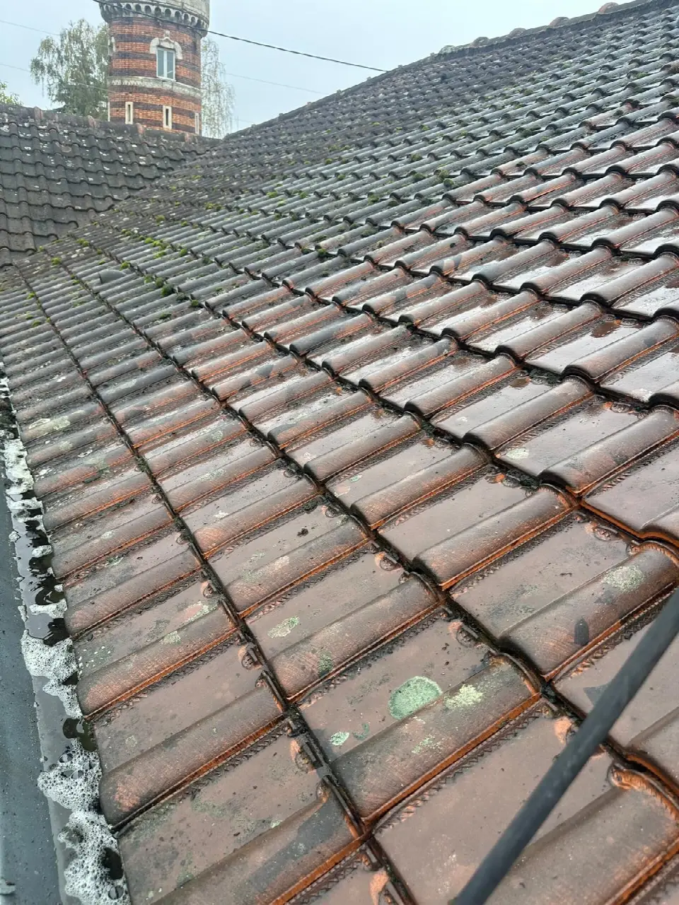 Toiture en tuiles mouillée, marquée par les mousses et les lichens